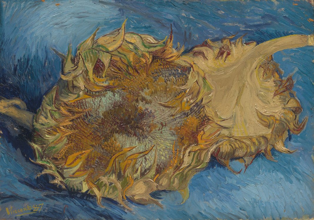 Bold Colors and the expressive brushwork of Vincent van Gogh | tagDiv Cloud