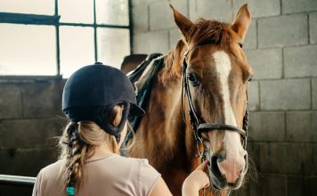 Tropics Victory Would be Emotional for Dean Ivory