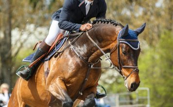 Sport Picture of the Day: the Flying Horse