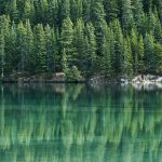 See Who is Viewing Your Resume and Who is Looking