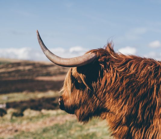 App Steers You Away from Tourist Traps