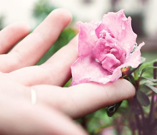 10 Outfits Inspired by Famous Works of Art are Auctioned in London