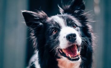 Making Room For Sasha